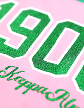 Load image into Gallery viewer, ALPHA KAPPA ALPHA LONG SLEEVE TEE PINK
